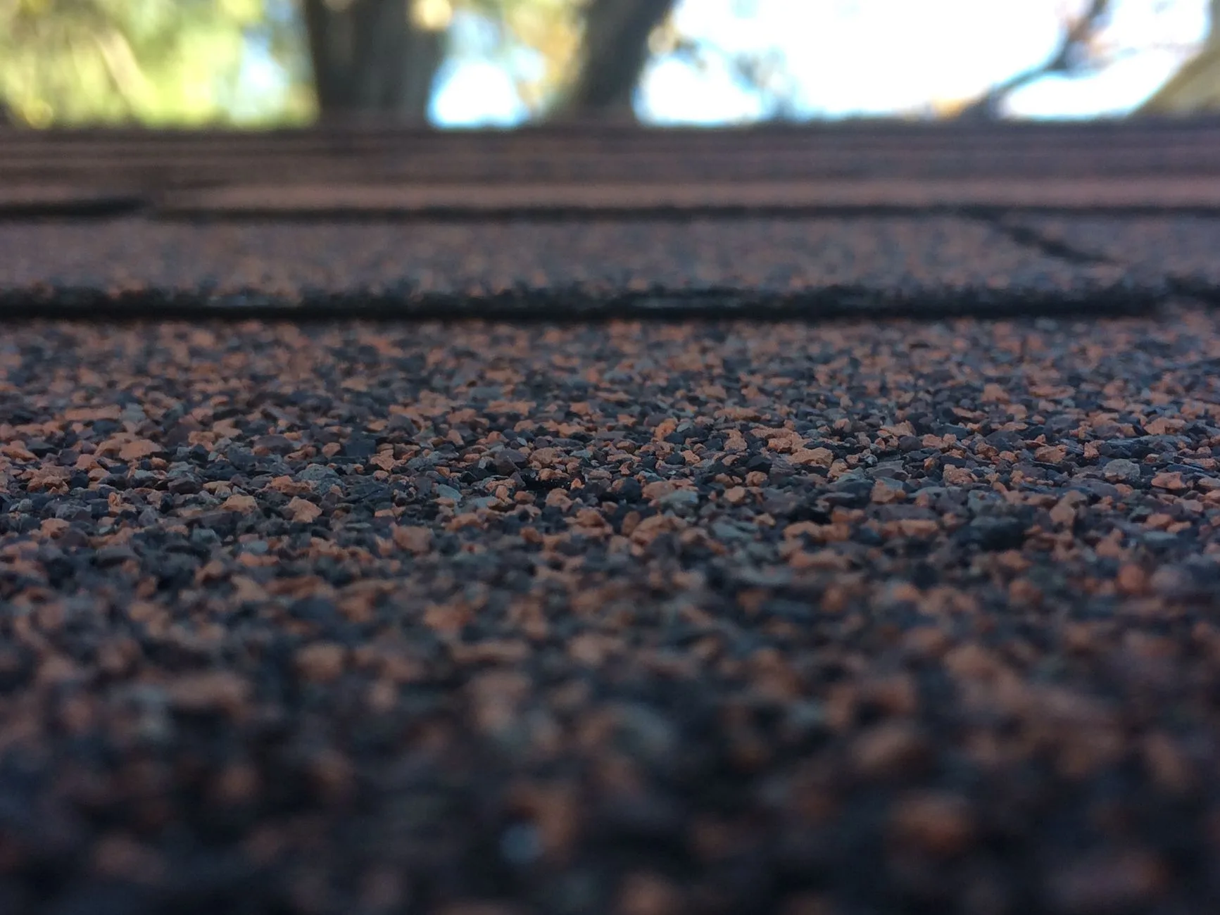 Asphalt shingle roof of a house